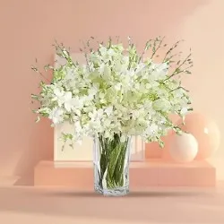 Soothing White Orchids Vase Arrangement