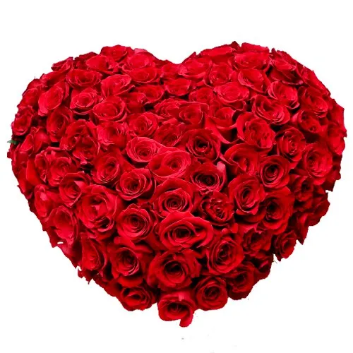 Majestic arrangement of 150 Dutch Red Roses in heart shape