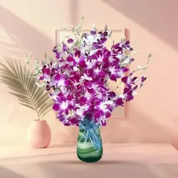 Order Mixed Orchids in Vase