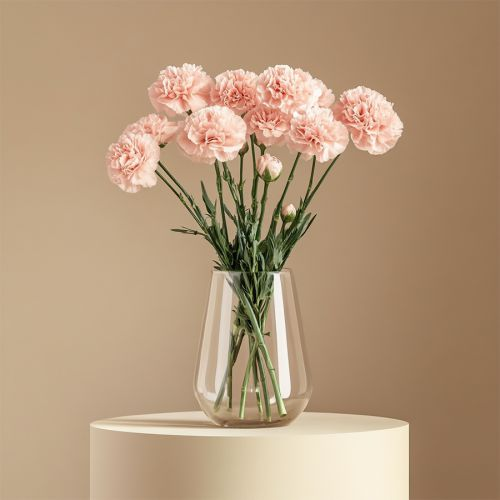 Order Pink Carnations in a Vase