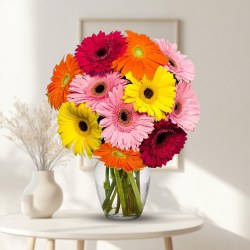 Enigmatic Mixed Gerberas in a Glass Vase Enigmatic Mixed Gerberas in a Glass Vase