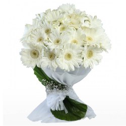 Graceful White Gerberas Bunch with Fillers