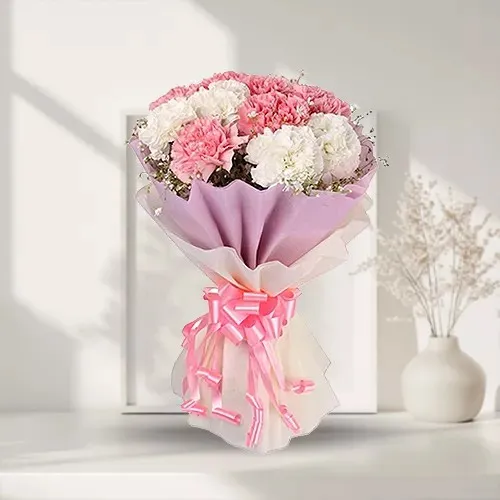 Send White N Pink Carnations Bunch Online