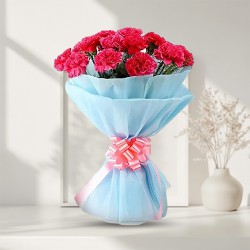 Charming Bunch of Pink Carnations Charming Bunch of Pink Carnations