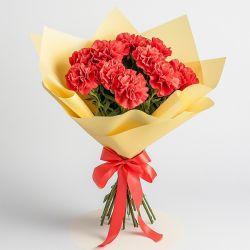 Distinctive Compilation of Carnations in Red Colour<br> Distinctive Compilation of Carnations in Red Colour<br>