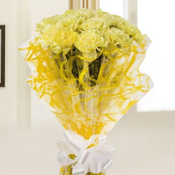Joyful Display of Yellow Coloured Carnations Joyful Display of Yellow Coloured Carnations