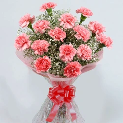 Deliver Pink Carnations Bunch Online