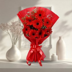 Soft Red Gerberas Bouquet Soft Red Gerberas Bouquet