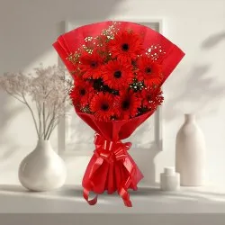 Order Online Red Gerberas Bouquet