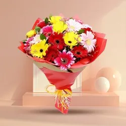 Send Online 12 Mixed Gerberas Bunch