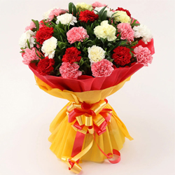 Order Mixed Carnations Bouquet for loved ones in India