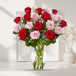 Seasons Everlasting Colourful Roses in a Glass Vase Seasons Everlasting Colourful Roses in a Glass Vase
