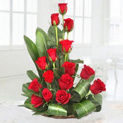 Stylish Premium Arrangement of Red Coloured Roses Stylish Premium Arrangement of Red Coloured Roses
