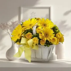 Gift Sun-Shine Gerberas N Roses Arrangement Online