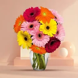 Buy Gerbera Assemblage in a Glass Vase Online