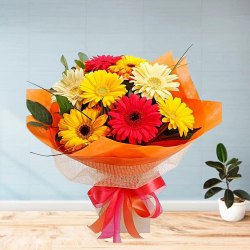 Growing Allure Gerberas Bouquet Growing Allure Gerberas Bouquet