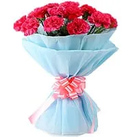 Deliver Bouquet of Pink Carnation Online