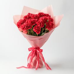 Send Red Carnations Bouquet Online