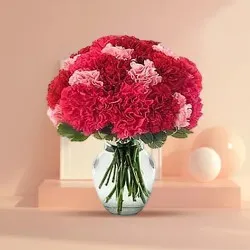 Book Pink n Red Carnations Online