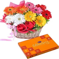 Book Combo of Gerberas Basket n Cadbury Celebration Pack Online