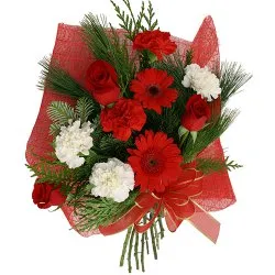 Gift Online Bouquet of Red Roses, Red Gerberas with Red n White Carnations