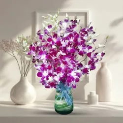 Send Orchids in Glass Vase Online