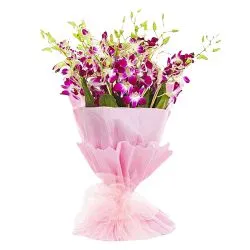 Order Bouquet of Orchids Stems Online