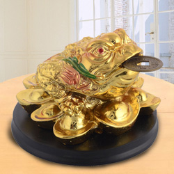Feng Shui Three Legged Money Frog Feng Shui Three Legged Money Frog