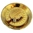 Golden Icchapurti Tortoise Golden Icchapurti Tortoise