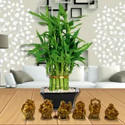 Send Combo of 2 Tier Bamboo Plant with Set of Laughing Buddha