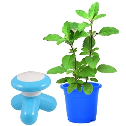 Nurture with Love Basil Plant n Electric Massager Combo