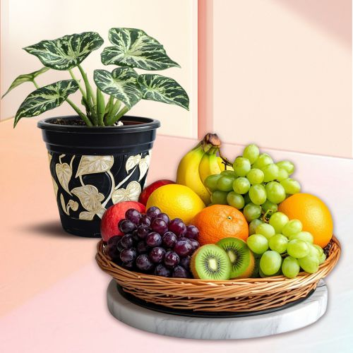 Garden Fresh Fruit Basket N Air Purifying Plant Combo