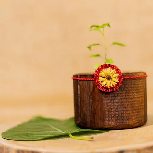 Thoughtful Eco Friendly Rakhi Gift