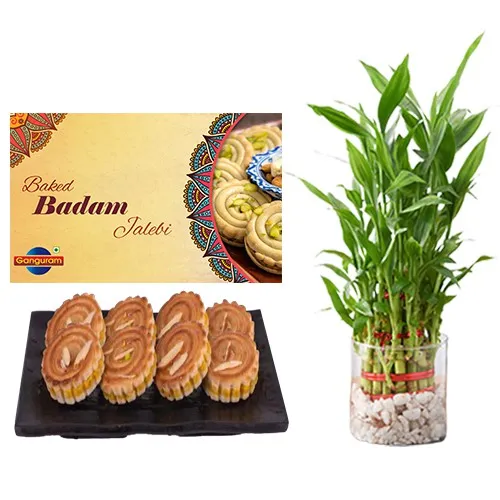 Baked Badam Jalebi from Ganguram with Lucky Bamboo Plant