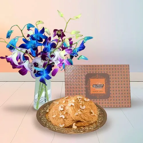 Orchid Splendor  N  Pheni Pleasure