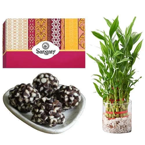 Kaju Chocotwin from Sangam Sweets with 3 Tier Lucky Bamboo Plant