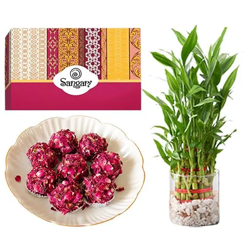 Kaju Rose Laddu from Sangam Sweets with 3 Tier Lucky Bamboo Plant