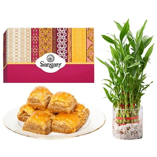 Desi Baklava from Sangam Sweets with 3 Tier Lucky Bamboo Plant