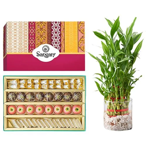 Cashew Delight from Sangam Sweets with 3 Tier Lucky Bamboo Plant