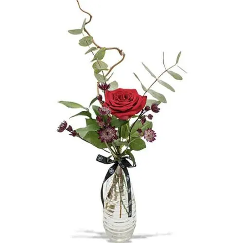 Soulful Solo Elegant Rose