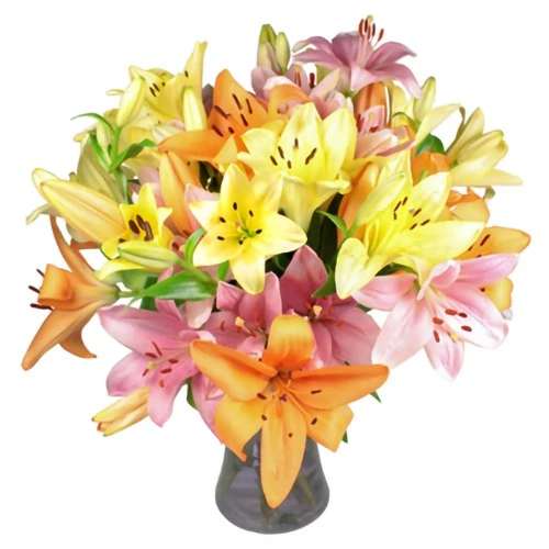 Pure Bliss Loved in Lily Bouquet