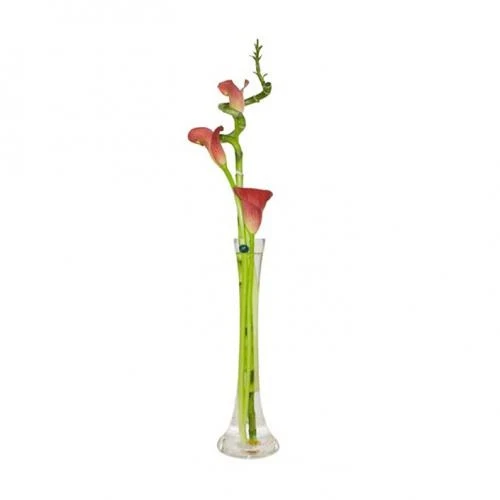 Shining Modern Calla Lily