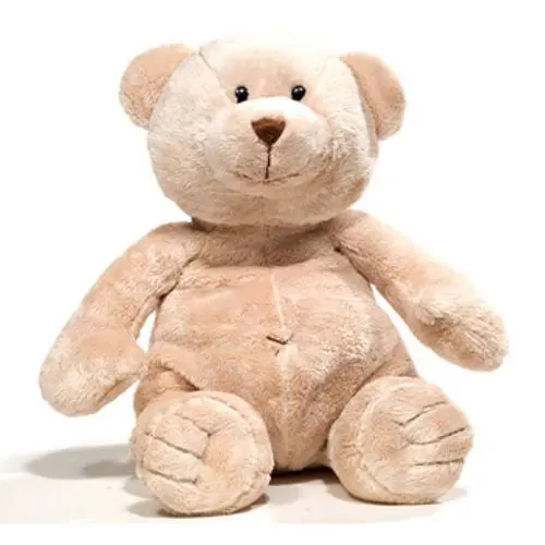 Cute N Cuddly Teddy Bear
