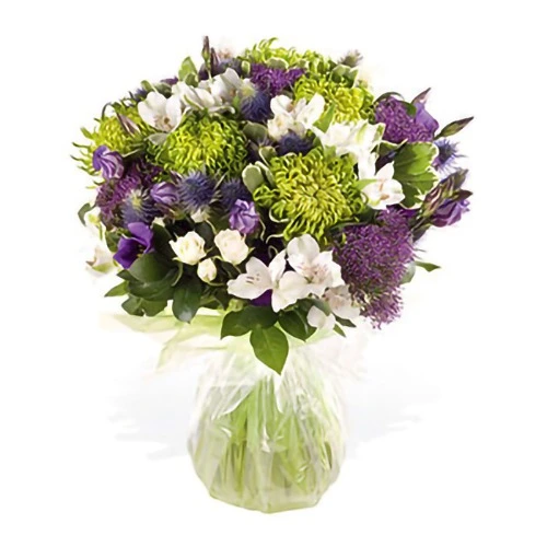 Blooming Delight Purple and Green Beauty