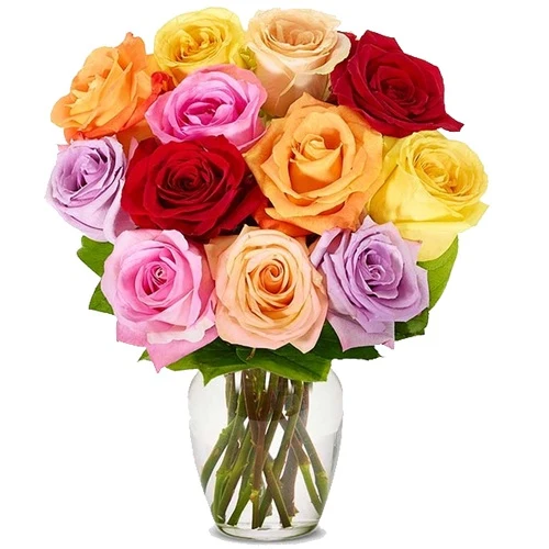 Colorful Roses Serenade