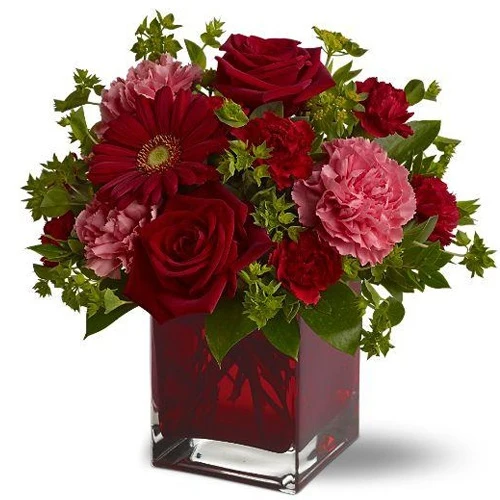 Blooming Love Transitions