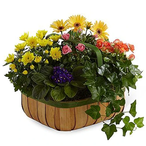 Marvelous Blossoming Basket