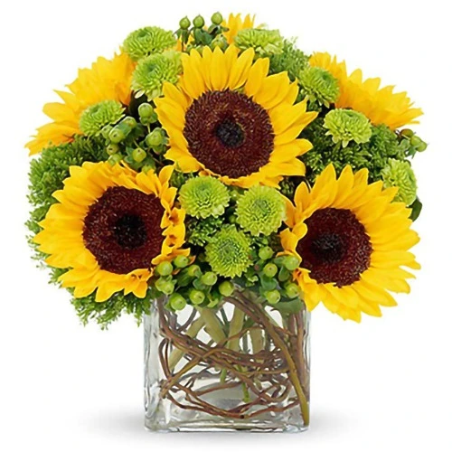 Glimmering Touch Of Sunshine