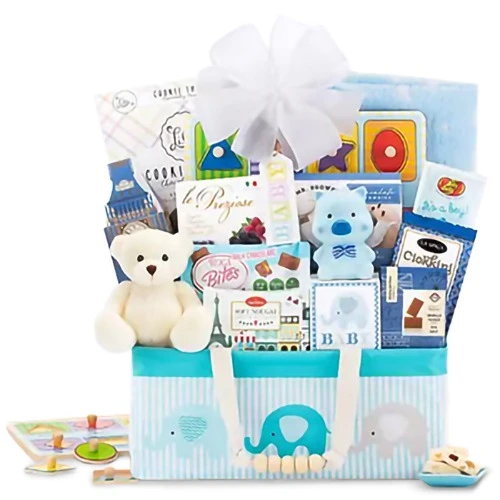 Celebration New Baby Gift Basket for Boys