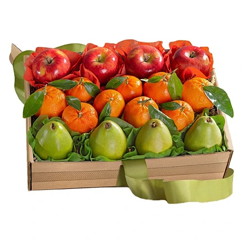 Savory Fruit Trio Gift Set
